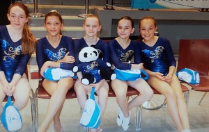 Championnat de France