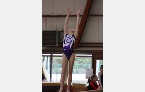 pauline Rogier-poutre-300110-2.jpg