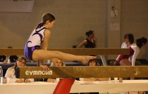 pauline rogier poutre-1302-1.jpg