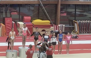 Compétition individuelle départementale national 14 ans