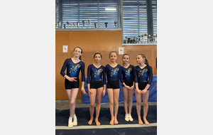 Suite competition FED A et B