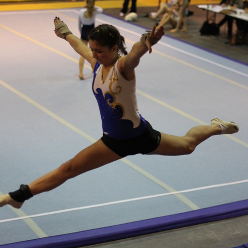 Laure-hélène Vouillon